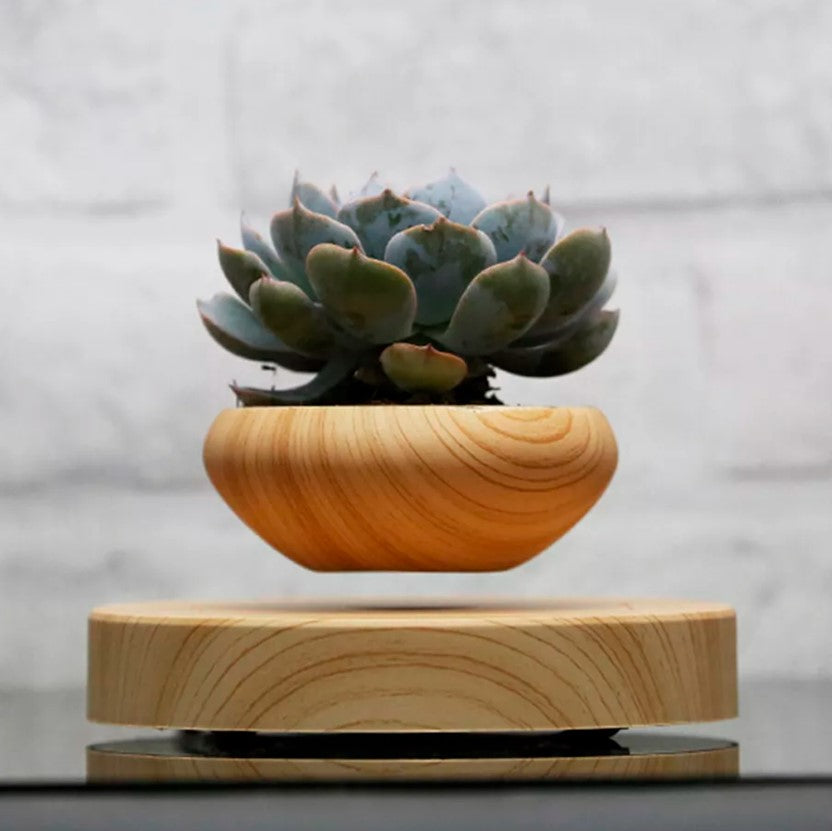 ✨Nueva Maceta Flotante Magnética!🪴🚀 Desafía la Gravedad con Tu Planta en el Aire