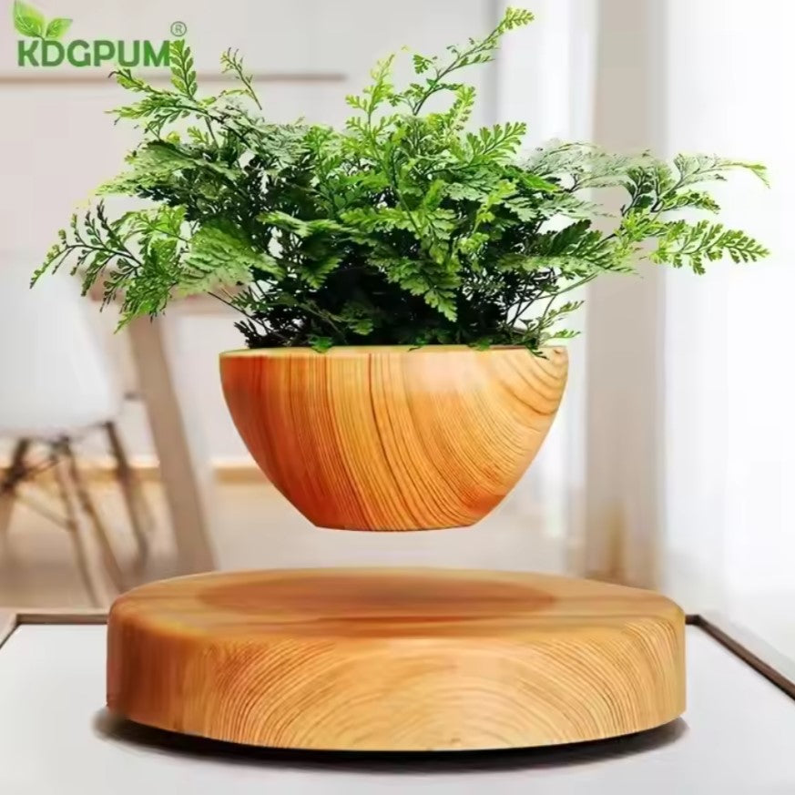 ✨Nueva Maceta Flotante Magnética!🪴🚀 Desafía la Gravedad con Tu Planta en el Aire