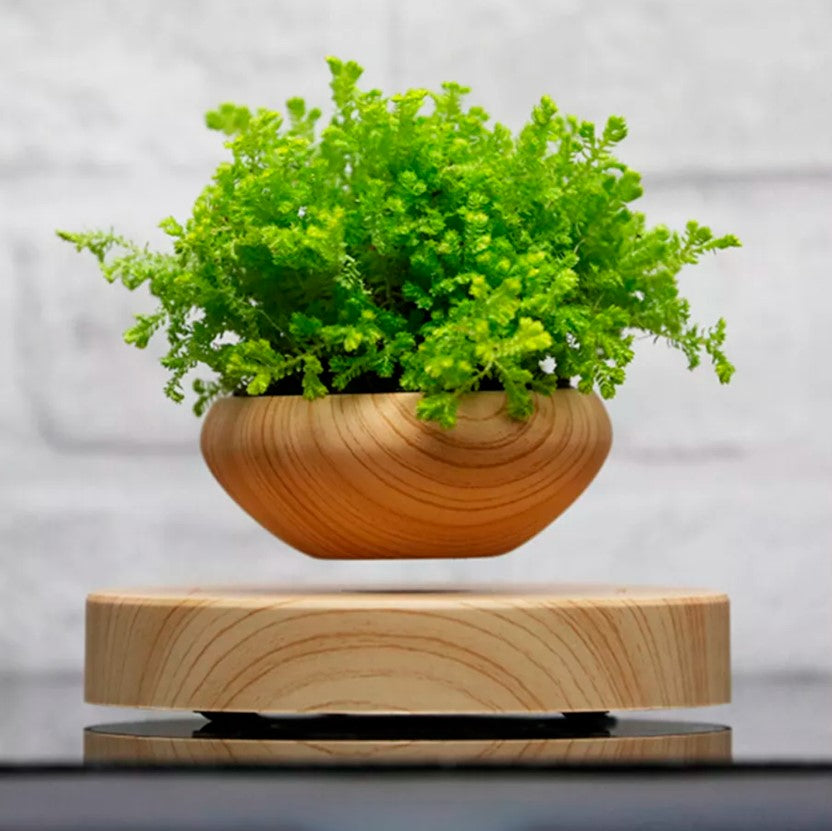 ✨Nueva Maceta Flotante Magnética!🪴🚀 Desafía la Gravedad con Tu Planta en el Aire