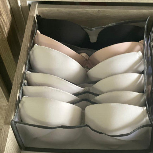 Organizador de Lenceria Brasier
