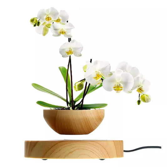 ✨Nueva Maceta Flotante Magnética!🪴🚀 Desafía la Gravedad con Tu Planta en el Aire