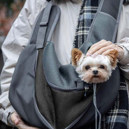 ✨Nuevo BOLSO CANGURO para Mascotas🐶🐱